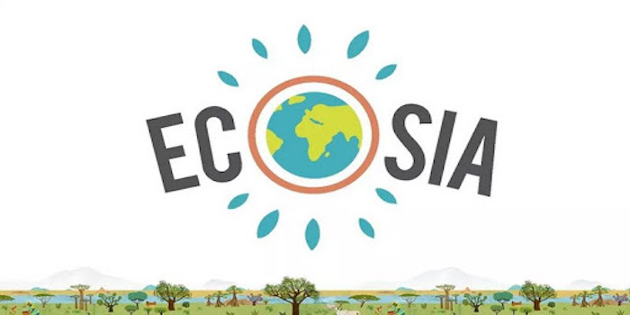 Lycée Jean-Piaget 2019-2020: Ecogestes: Ecosia et interrupteur