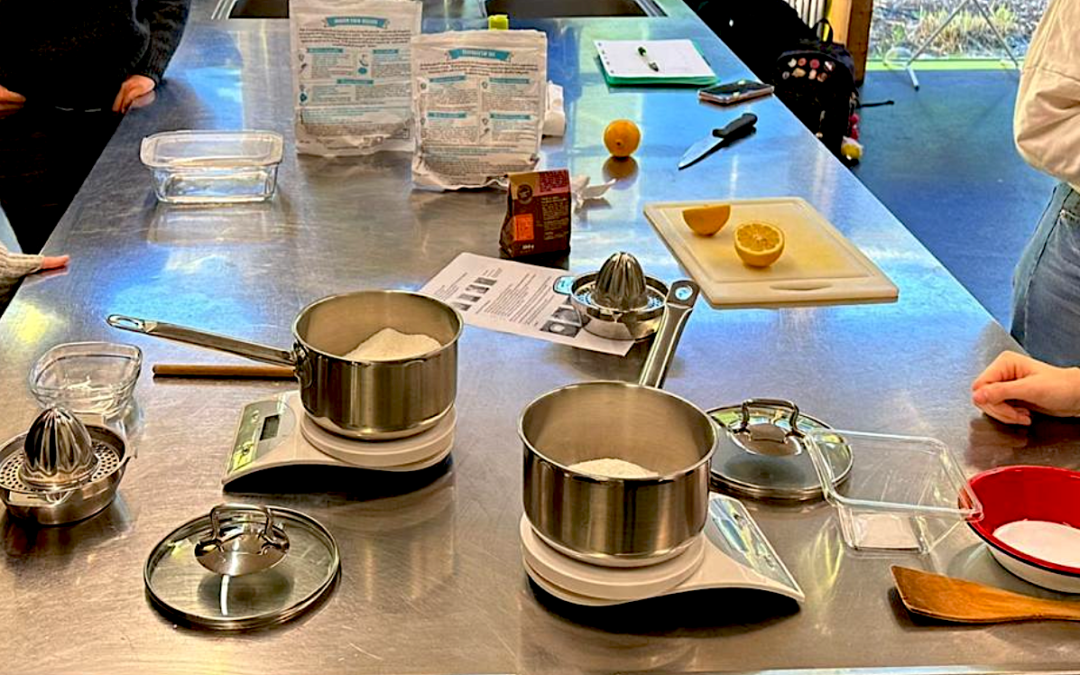 2ème place du concours eCO2profil 2024 : Atelier de fabrication de produit de vaisselle moins polluant, fait maison et plus économique – Collège de Candolle